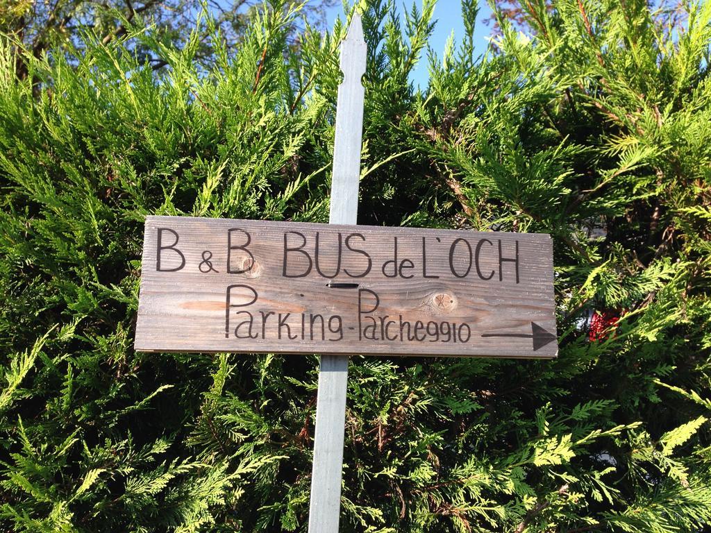 Bus De L'Och Bed and Breakfast Feltre Exterior foto